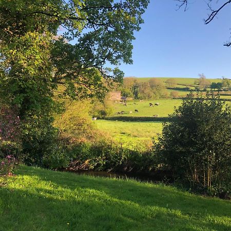 Bow Mill Farm Bed & Breakfast Totnes Bagian luar foto