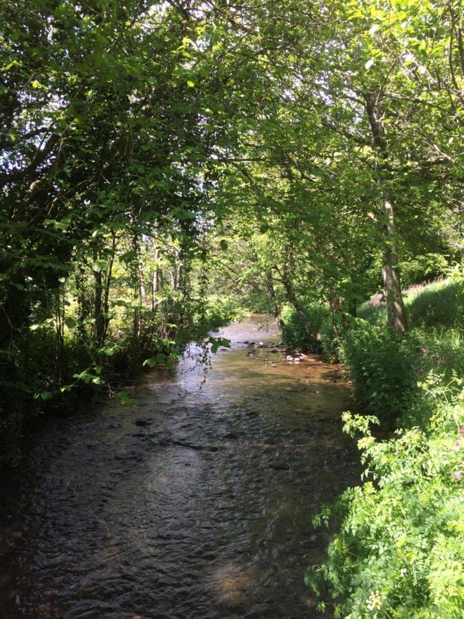 Bow Mill Farm Bed & Breakfast Totnes Bagian luar foto