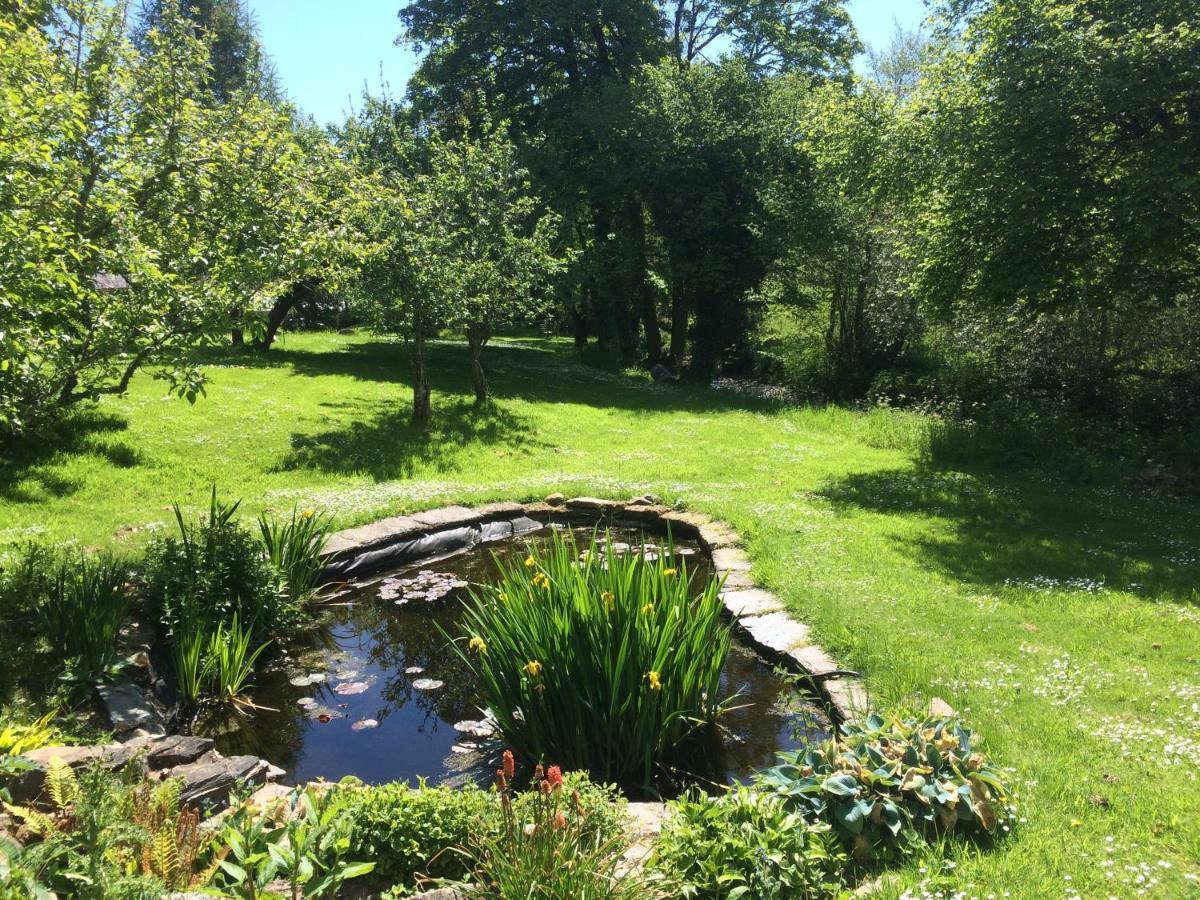 Bow Mill Farm Bed & Breakfast Totnes Bagian luar foto