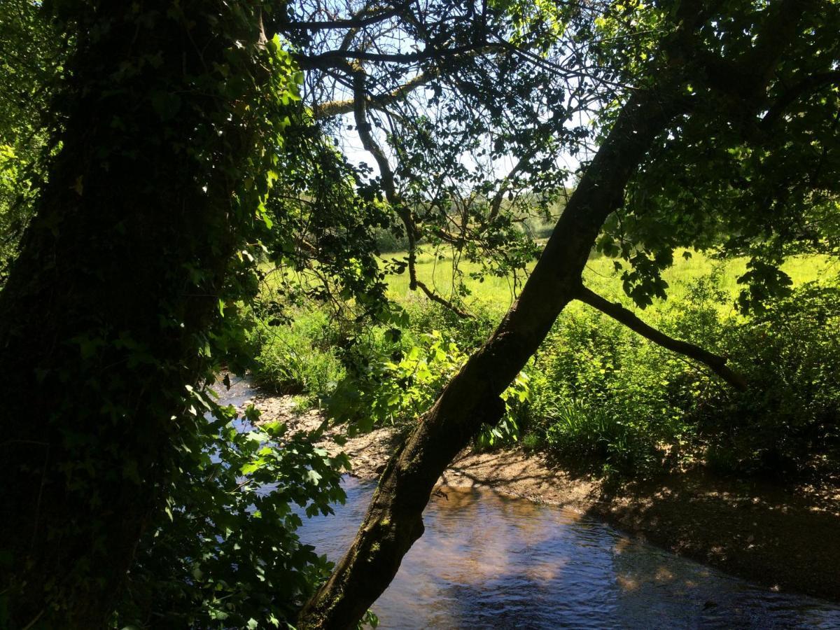 Bow Mill Farm Bed & Breakfast Totnes Bagian luar foto
