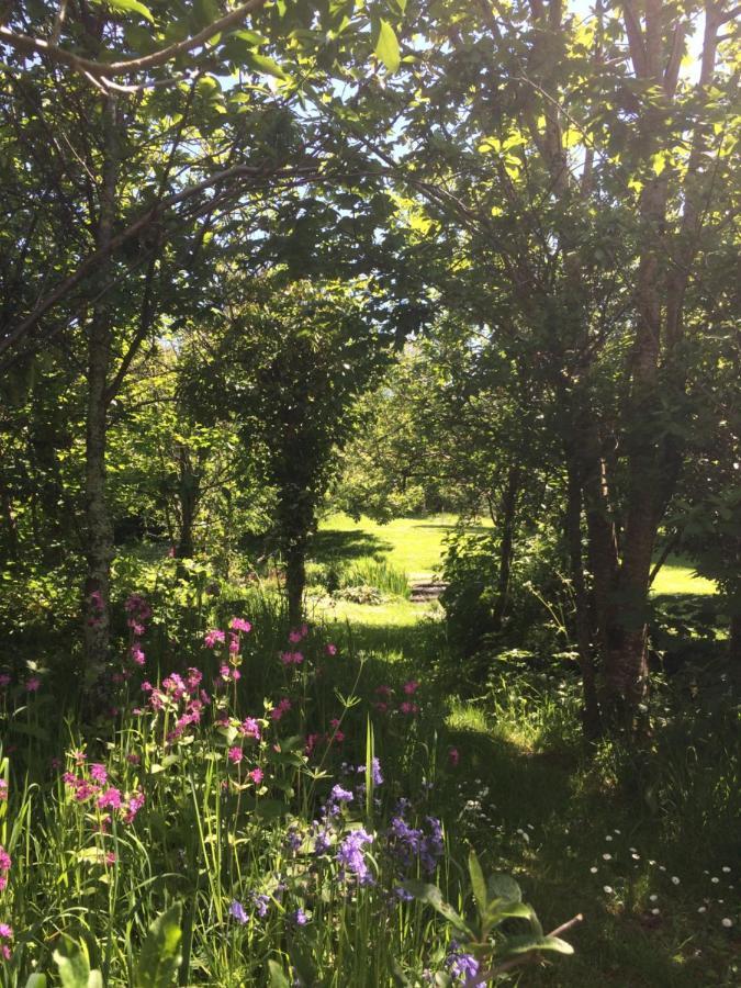 Bow Mill Farm Bed & Breakfast Totnes Bagian luar foto