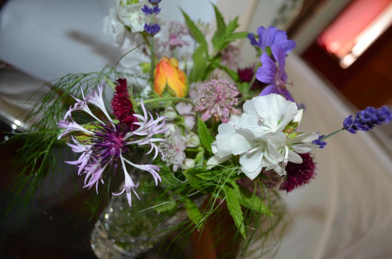 Bow Mill Farm Bed & Breakfast Totnes Bagian luar foto