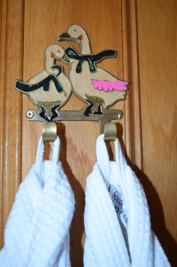 Bow Mill Farm Bed & Breakfast Totnes Bagian luar foto